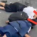 WhatsApp-Image-2023-08-21-at-19.28.28