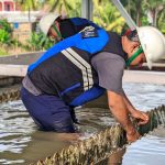 WhatsApp Image 2025-01-31 at 09.40.24