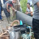 WhatsApp Image 2025-02-02 at 12.05.06