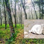 WhatsApp Image 2025-05-07 at 23.28.32