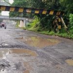 WhatsApp Image 2025-08-17 at 02.37.19