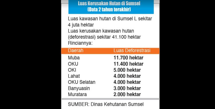 OKU Parah! 11.400 Ha Hilang, Deforestasi Tertinggi Kedua Setelah Muba