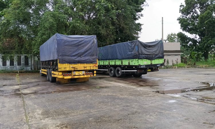 WhatsApp Image 2026-01-23 at 10.13.27