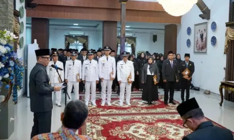 WhatsApp Image 2026-02-23 at 18.47.06