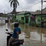 FB_IMG_1774714637957