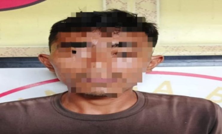 Kepergok Patroli Kebun, Petani Gasak 18 Tandan Sawit di PT SBI Diciduk