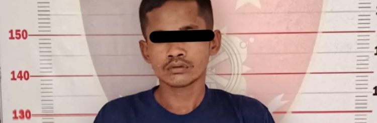 Kepergok Maling Sawit Tengah Malam, Satu Pelaku Ditangkap, Satu Lagi Kabur