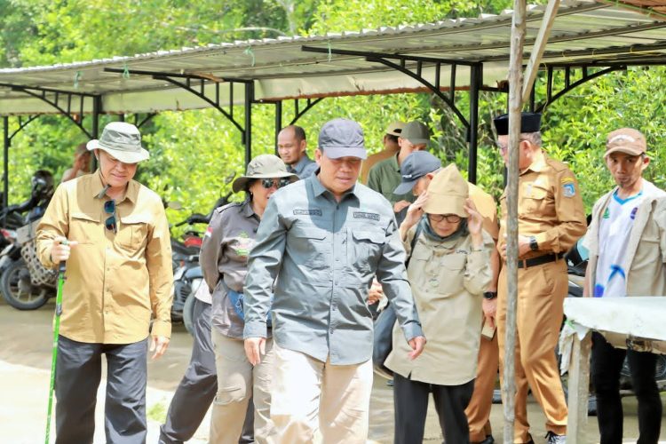 Mangrove Pangkal Babu Disiapkan Jadi Benteng Pesisir