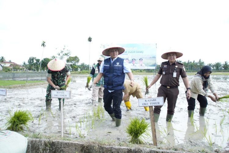 OKU Timur Kejar 1 Juta Ton GKG di Tengah Ancaman El Nino
