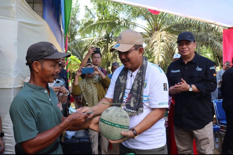 Anwar Sadat: Melon Kuala Dasal Bisa Jadi Contoh Pertanian Modern Desa