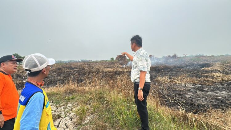 Karhutla OKU Timur Capai 45 Hektare, Enos Siapkan Posko Pengaduan